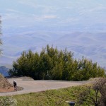 Biking Up